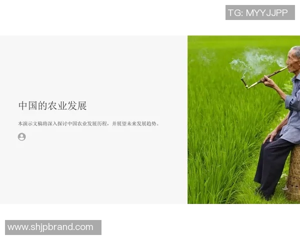 符云龙足球的崛起之路与未来发展展望探讨 符云龙足球的崛起之路与未来发展展望探讨