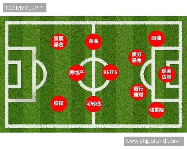 足球资产的投资价值与市场前景分析探讨